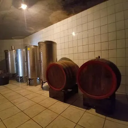 U Potkrovlju Apartment Sremski Karlovci